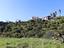 Immagine 7