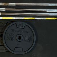 Bilancieri + dischi ghisa