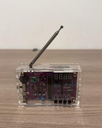 Radio FM Display Digitale Jack Pile Micro Usb