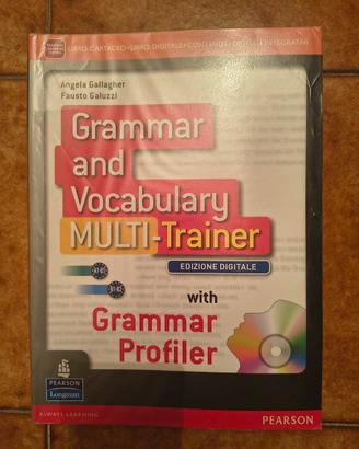 Grammar and Vocabulary multi-trainer Pearson A1-B2