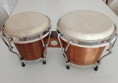 Bongo meazzi