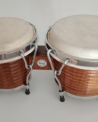 Bongo meazzi