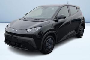 BYD Dolphin Surf Active