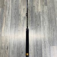 Canna da pesca TRM Stand Up Rod Technofish World C