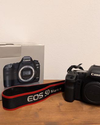Canon EOS 5D mark II + obiettivi