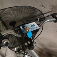 Biciletta a  pedalata assistita 