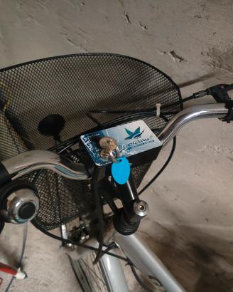 Biciletta a  pedalata assistita 