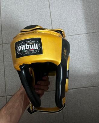Caschetto boxe pitbull