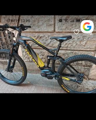 bici univega professional pedalata assistita 