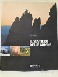 Il sentiero delle grigne