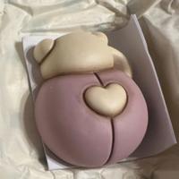 Coccinella Thun bauli