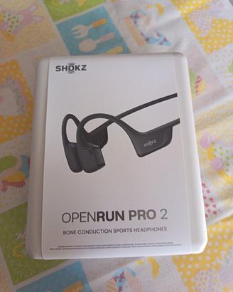 Shokz openrun pro 2 
