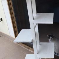 Multimensola per piante