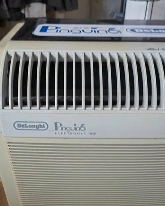 Climatizzatore portatile De Longhi con unità est