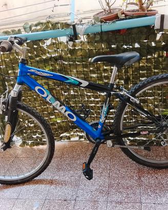 Bicicletta Olmo