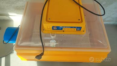 Covatutto 54 analogica volta uova automatico