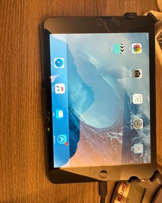 Ipad mini 2 gen.