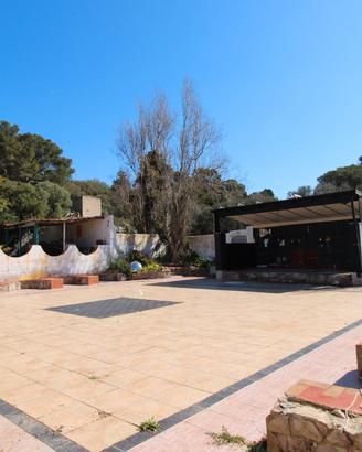 Discoteca oppure Azienda agricola su ampio terreno