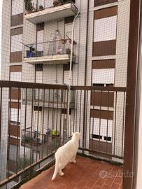 Rete protezione gatti 6x3 m + 3 aste telescopiche