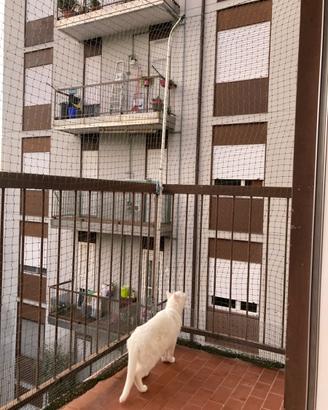 Rete protezione gatti 6x3 m + 3 aste telescopiche