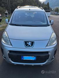 Peugeot Partner Tepee anno 2009