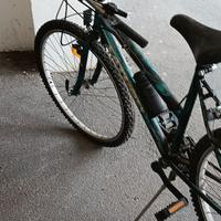 bicicletta