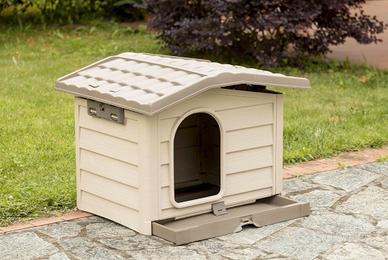 Cuccia Bama - Taglia M