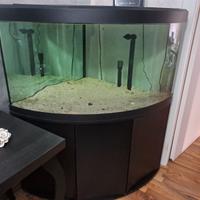 Acquario angolare Askoll Tenerife Visus 300 litri