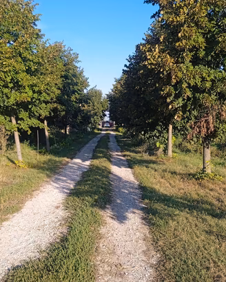 cascina con ampi spazzi