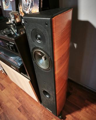 🎵 casse sonus faber concerto domus