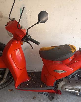 scarabeo 
