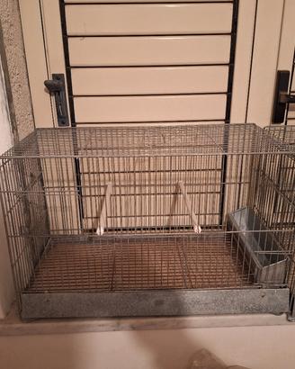 gabbie da cova da 58 cm