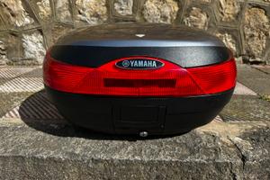 BAULETTO SHAD SH46 YAMAHA (e non)