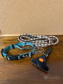 Accessori per cani