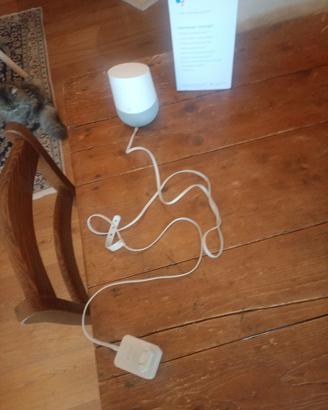 Google home 