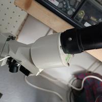 Microscopio stereoscopico MICHELI