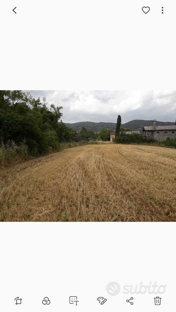 Moncalieri revigliasco - Vista 3