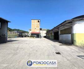 Attività commerciale - Ascoli Piceno