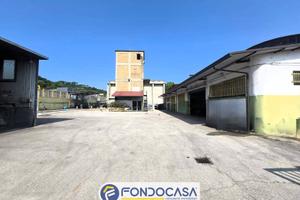 Attività commerciale - Ascoli Piceno