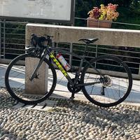 Bici Trek Domane AL 3