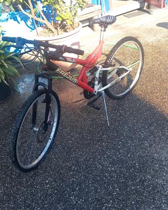 biciclette