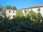 Immagine 6