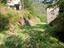 Immagine 9
