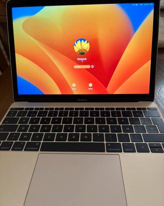 Macbook retina, 12-inch, 2017