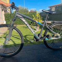 Mountain bike