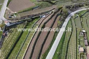 LENZIMA: ampio terreno già terrazzato!