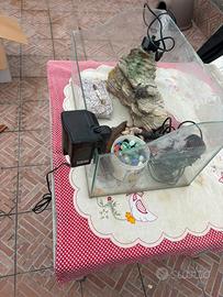 Tartarughiera + accessori