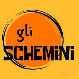 Schemini e flsh card diritto