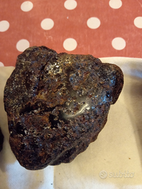 Ambra grezza del messico