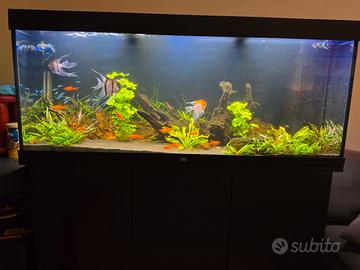 acquario juwel rio 450
